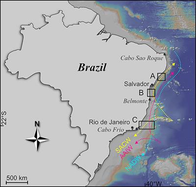 Controlling Parameters of Benthic Deep-Sea Foraminiferal Biogeography at the Brazilian Continental Margin (11-22°S)